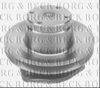 BORG & BECK BWP1130 Water Pump